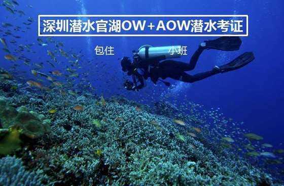 收评:港股恒指跌2.32% 恒生科指跌3.27%半导体概念股跌幅靠前